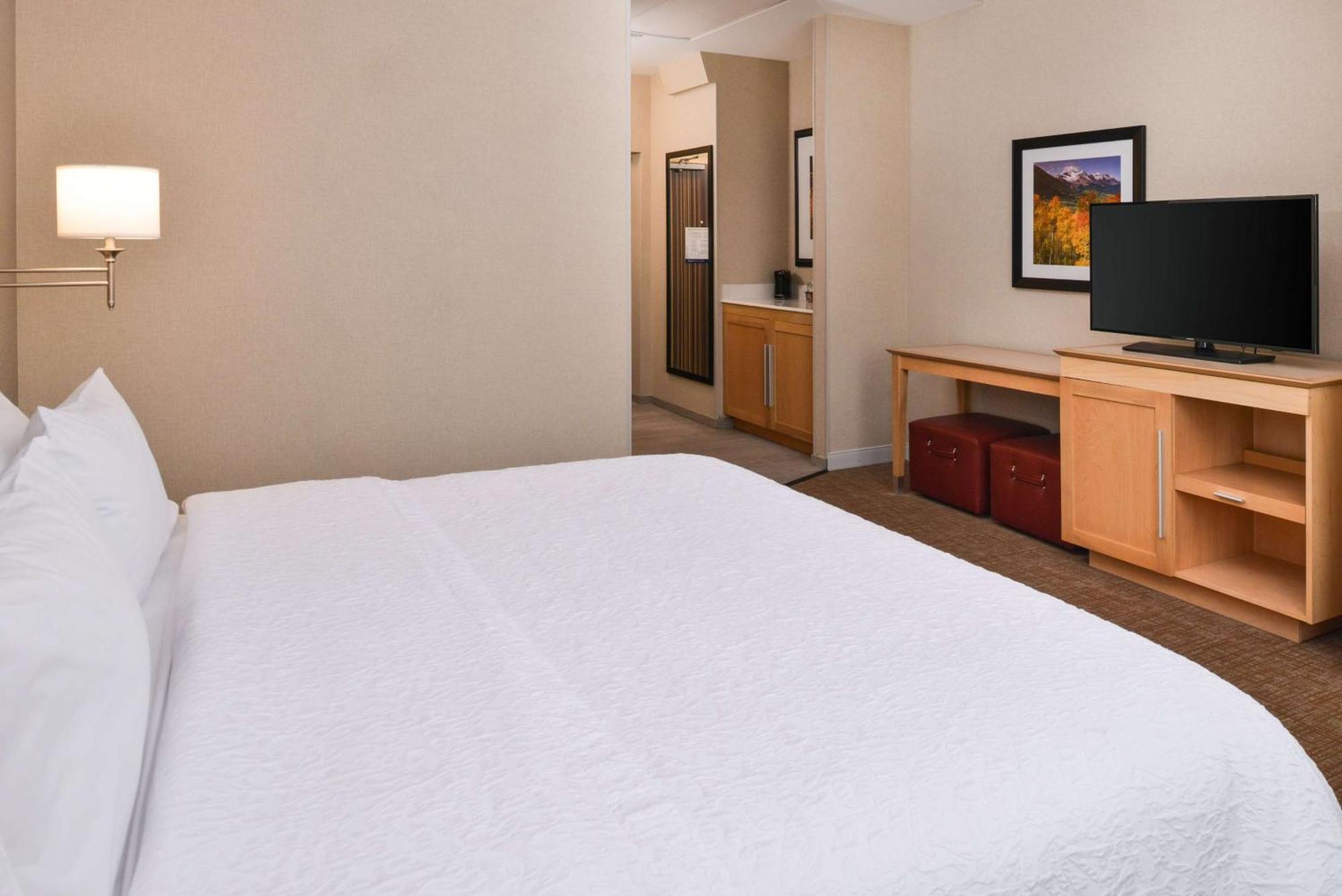 Hampton Inn & Suites Denver-Speer Boulevard Exterior photo