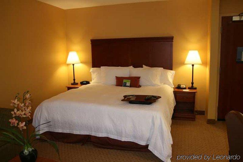 Hampton Inn & Suites Denver-Speer Boulevard Room photo